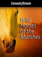 Watch Wild Horses of the Marshes Primewire