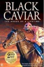 Watch Black Caviar The Races Primewire