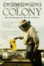 Watch Colony Primewire
