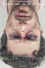 Watch A Million Little Pieces Primewire