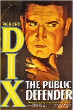 Watch The Public Defender Primewire