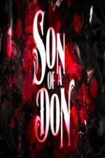 Watch Son of a Don Primewire