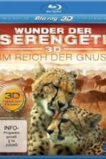 Watch The Wildebeest Migration Natures Greatest Journey Primewire