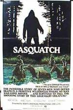 Watch Sasquatch the Legend of Bigfoot Primewire