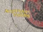 Watch Aberrant Forms: A Jurassic Short Primewire