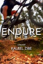 Watch Endure Primewire