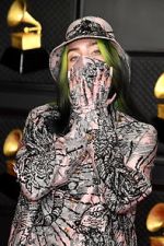 Watch The 63rd Annual Grammy Awards Primewire