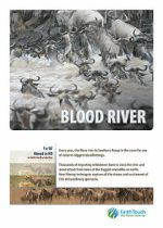 Watch Blood River Crossing Primewire