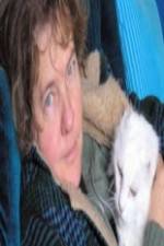 Watch Ciao Meow Primewire