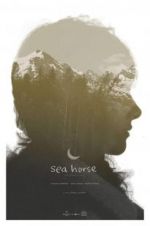 Watch Sea Horse Primewire