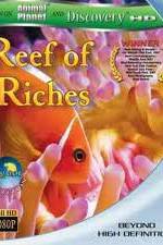 Watch Equator Reefs of Riches Primewire