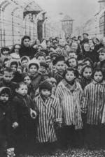 Watch AUSCHWITZ: LIBERATION AND REVENGE Primewire