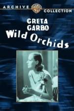 Watch Wild Orchids Primewire