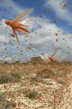 Watch Swarm Chasers: Locusts Primewire