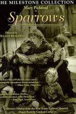 Watch Sparrows Primewire
