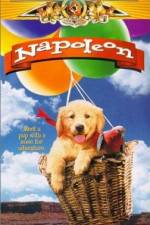 Watch Napoleon Primewire
