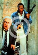 Watch Case Closed Primewire