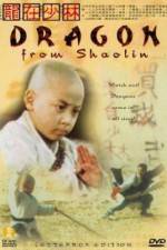 Watch Long zai Shaolin Primewire