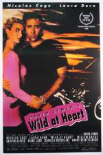 Watch Wild at Heart Primewire