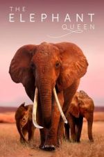 Watch The Elephant Queen Primewire