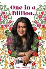 Watch Zarna Garg: One in a Billion Primewire
