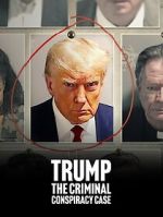 Watch Trump: The Criminal Conspiracy Case Primewire