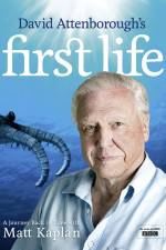 Watch First Life Primewire