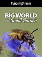 Watch Big World in a Small Garden (TV Short 2016) Primewire