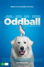 Watch Oddball Primewire