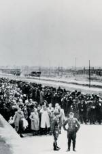 Watch AUSCHWITZ: SURPRISING BEGINNINGS Primewire