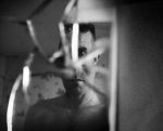 Watch Remember Me, My Ghost (Short 2011) Primewire