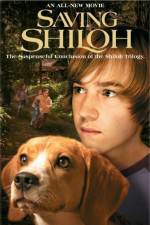 Watch Saving Shiloh Primewire