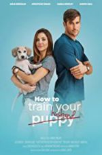 Watch How to Train Your Husband or (How to Pick Your Second Husband First) Primewire