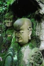 Watch The Thousand Years Old Man (  ) Primewire