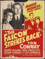 Watch The Falcon Strikes Back Primewire