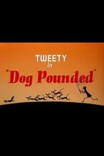 Watch Dog Pounded (Short 1954) Primewire