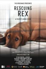 Watch Rescuing Rex Primewire
