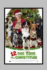 Watch 12 Dog Days of Christmas Primewire