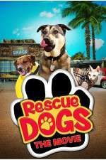 Watch Rescue Dogs Primewire