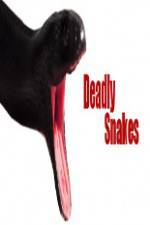 Watch National Geographic Wild Deadly Snakes Primewire