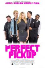 Watch The Perfect Pickup Primewire