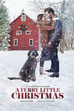 Watch Furry Little Christmas Primewire