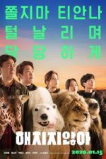 Watch Secret Zoo Primewire
