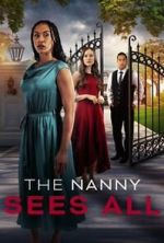 Watch The Nanny Sees All Primewire