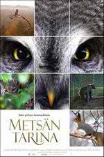 Watch Tale of a Forest Primewire
