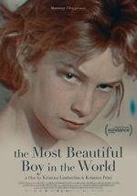 Watch The Most Beautiful Boy in the World Primewire