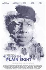 Watch Hiding in Plain Sight Primewire