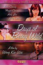 Watch Days of Being Wild Primewire