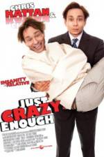 Watch Just Crazy Enough Primewire