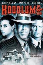 Watch Hoodlum & Son Primewire